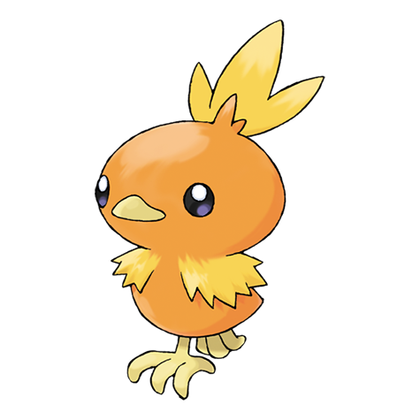 torchic from pokemon